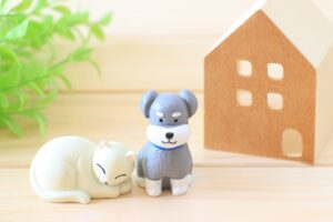 ペット可の物件はうるさい？トラブル例や住む前に確認すべきこと